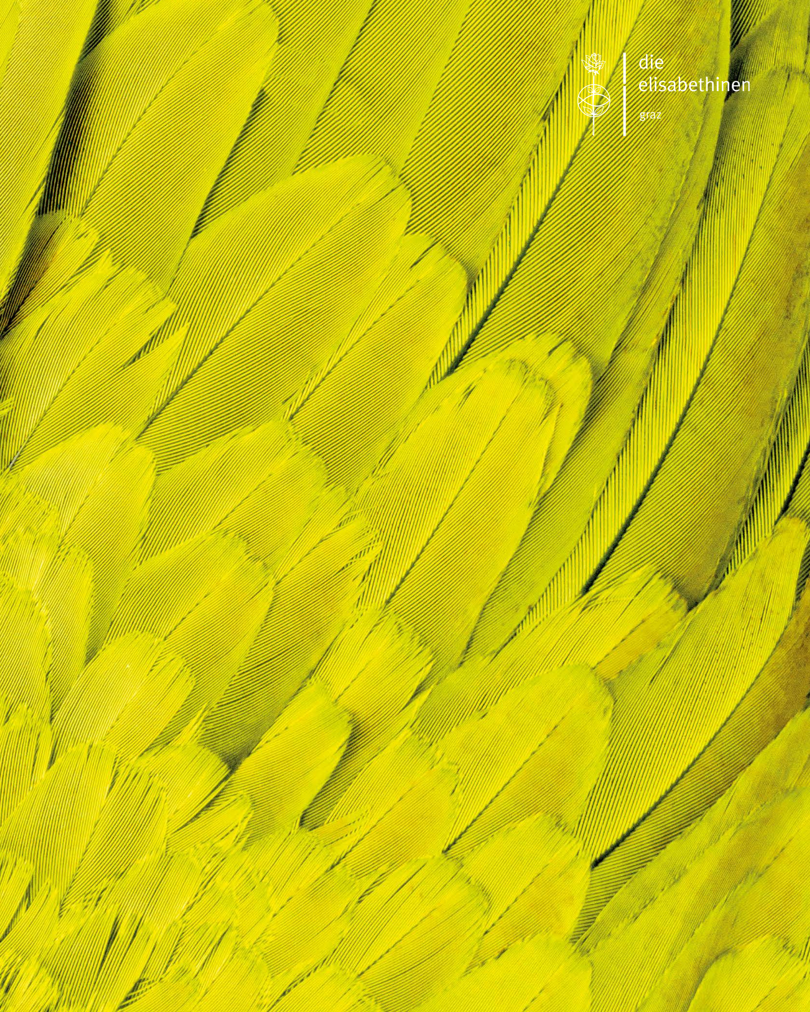 Gelb eingefärbte Federn, rechts im Eck das Logo der Elisabethinen Graz