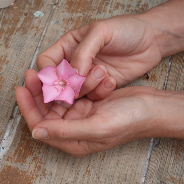 Blumen in der Hand