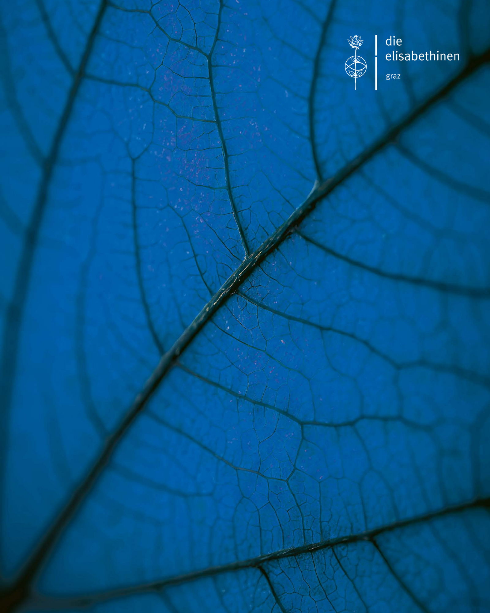 Ein blau eingefärbtes Blatt, rechts im Eck das Logo der Elisabethinen Graz