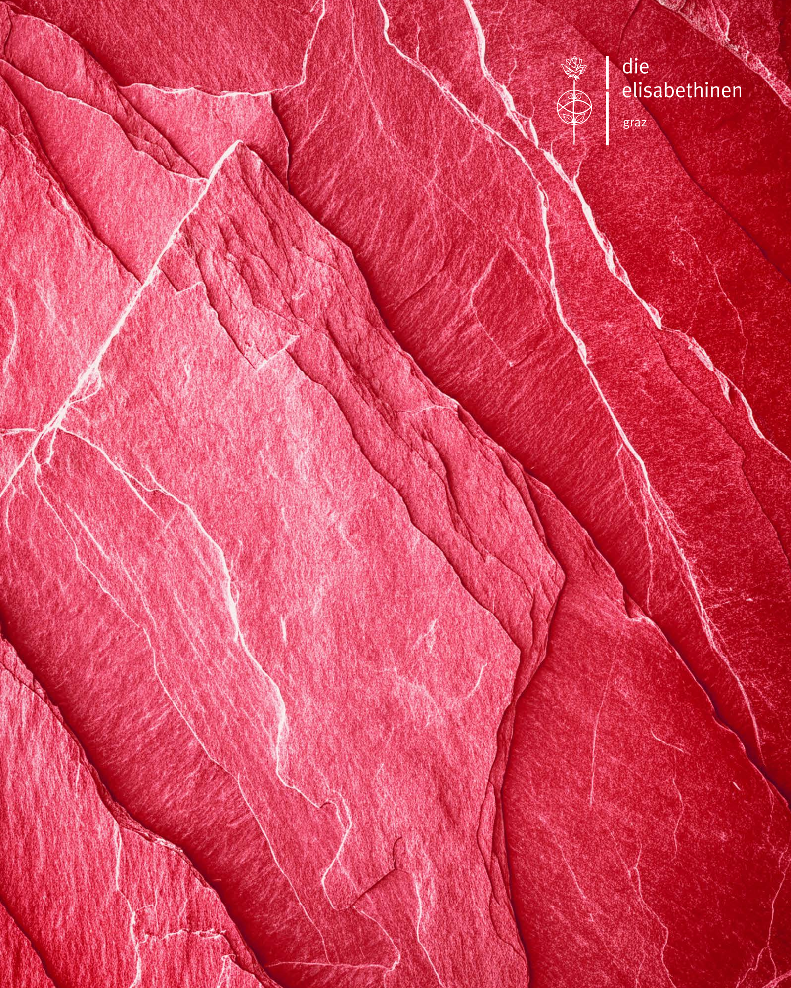 Rot eingefärbter Stein, rechts im Eck das Logo der Elisabethinen Graz